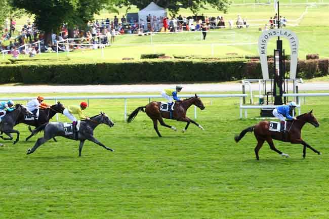 Arrivée quinté pmu PRIX PRESTIGE à MAISONS-LAFFITTE