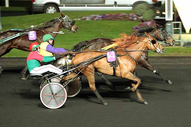 Arrivée quinté pmu PRIX AUSONIA à PARIS-VINCENNES