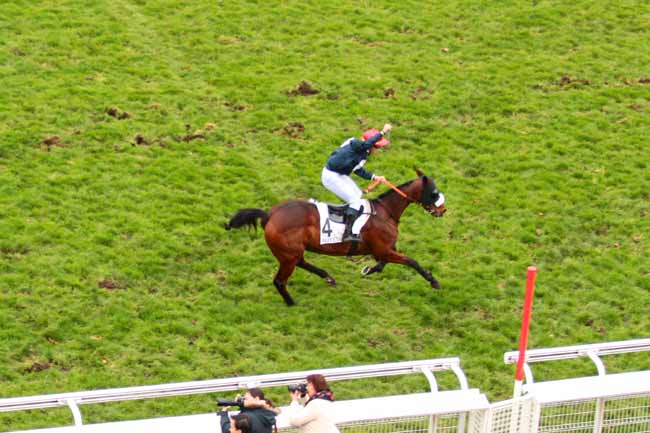 Photo d'arrivée de la course pmu PRIX ANDRE MICHEL à AUTEUIL le Dimanche 29 novembre 2015