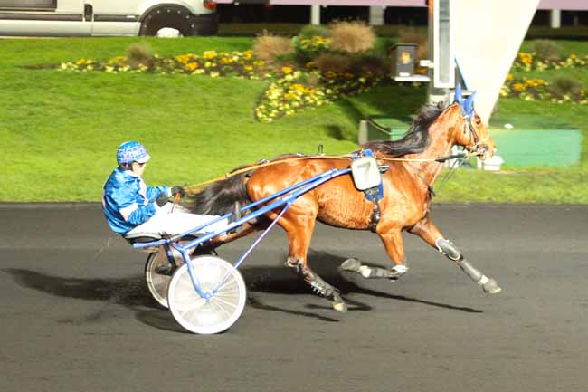 Photo d'arrivée de la course pmu PRIX DE COGOLIN à PARIS-VINCENNES le Dimanche 11 décembre 2016