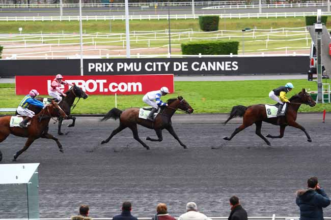 Photo d'arrivée de la course pmu PRIX DE PORNICHET à PARIS-VINCENNES le Samedi 20 janvier 2018
