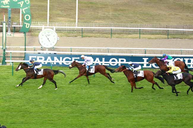 Photo d'arrivée de la course pmu PRIX DU QUAI AUX FLEURS à CHANTILLY le Dimanche 28 octobre 2018