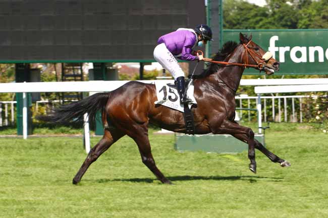 Photo d'arrivée de la course pmu PRIX DU LIEU MANCHON à SAINT-CLOUD le Mardi 19 mai 2020