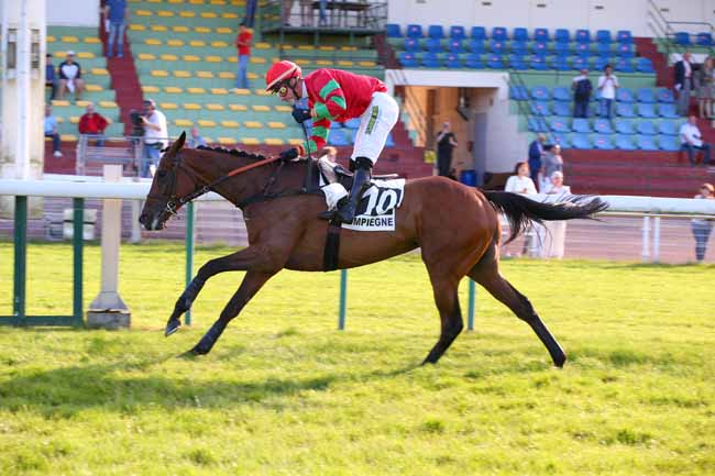 Photo d'arrivée de la course pmu PRIX DU CHER à COMPIEGNE le Lundi 16 mai 2022