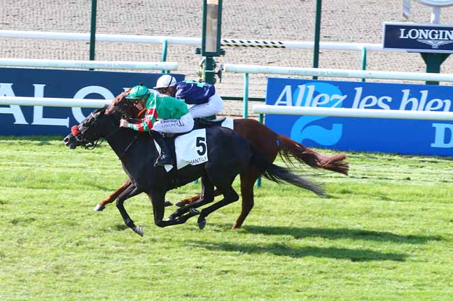 Photo d'arrivée de la course pmu PRIX DU PLESSIS-CHAMANT à CHANTILLY le Dimanche 17 juillet 2022