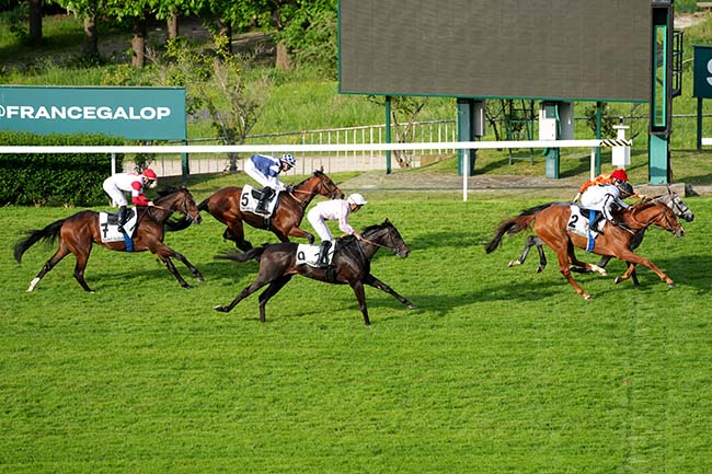 Photo d'arrivée de la course pmu PRIX DE LA CROIX BLANCHE à SAINT CLOUD le Jeudi 1 mai 2025