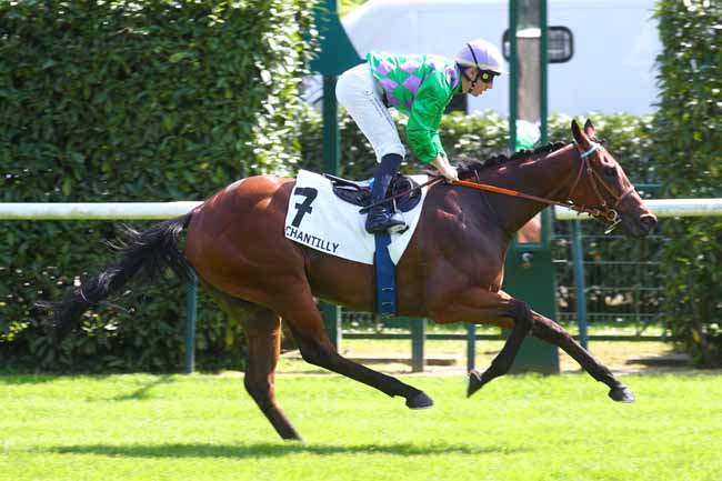 Photo d'arrivée de la course pmu PRIX DE LA FRANCILIENNE à CHANTILLY le Vendredi 2 mai 2025