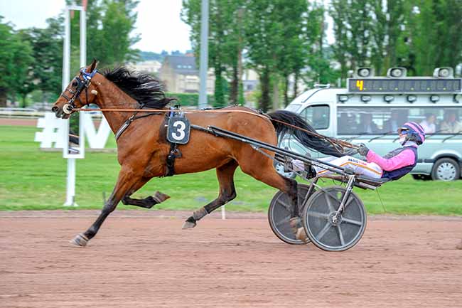 Photo d'arrivée de la course pmu PRIX DE SANSSAT à VICHY le Lundi 5 mai 2025