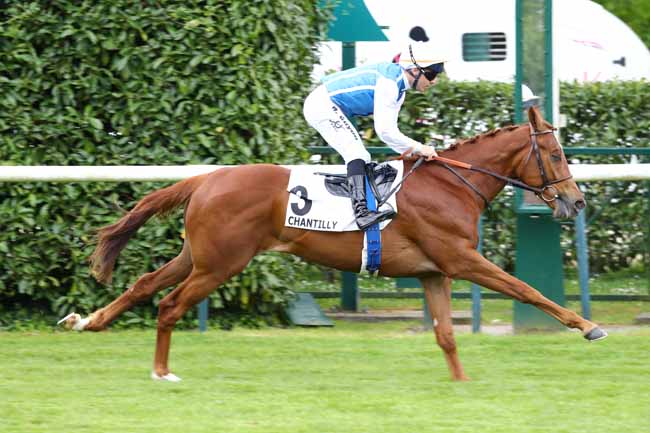 Photo d'arrivée de la course pmu PRIX DE LA MERE MARIE à CHANTILLY le Mardi 6 mai 2025