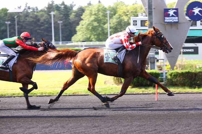 Photo d'arrivée de la course pmu PRIX HERSILIA à PARIS-VINCENNES le Mardi 6 mai 2025