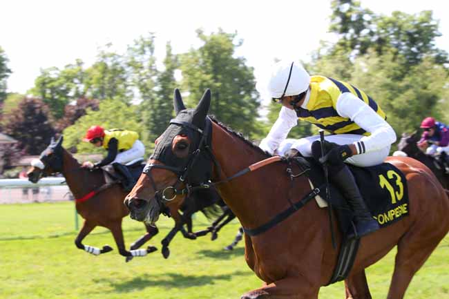 Photo d'arrivée de la course pmu PRIX DU MORBIHAN à COMPIEGNE le Mercredi 14 mai 2025